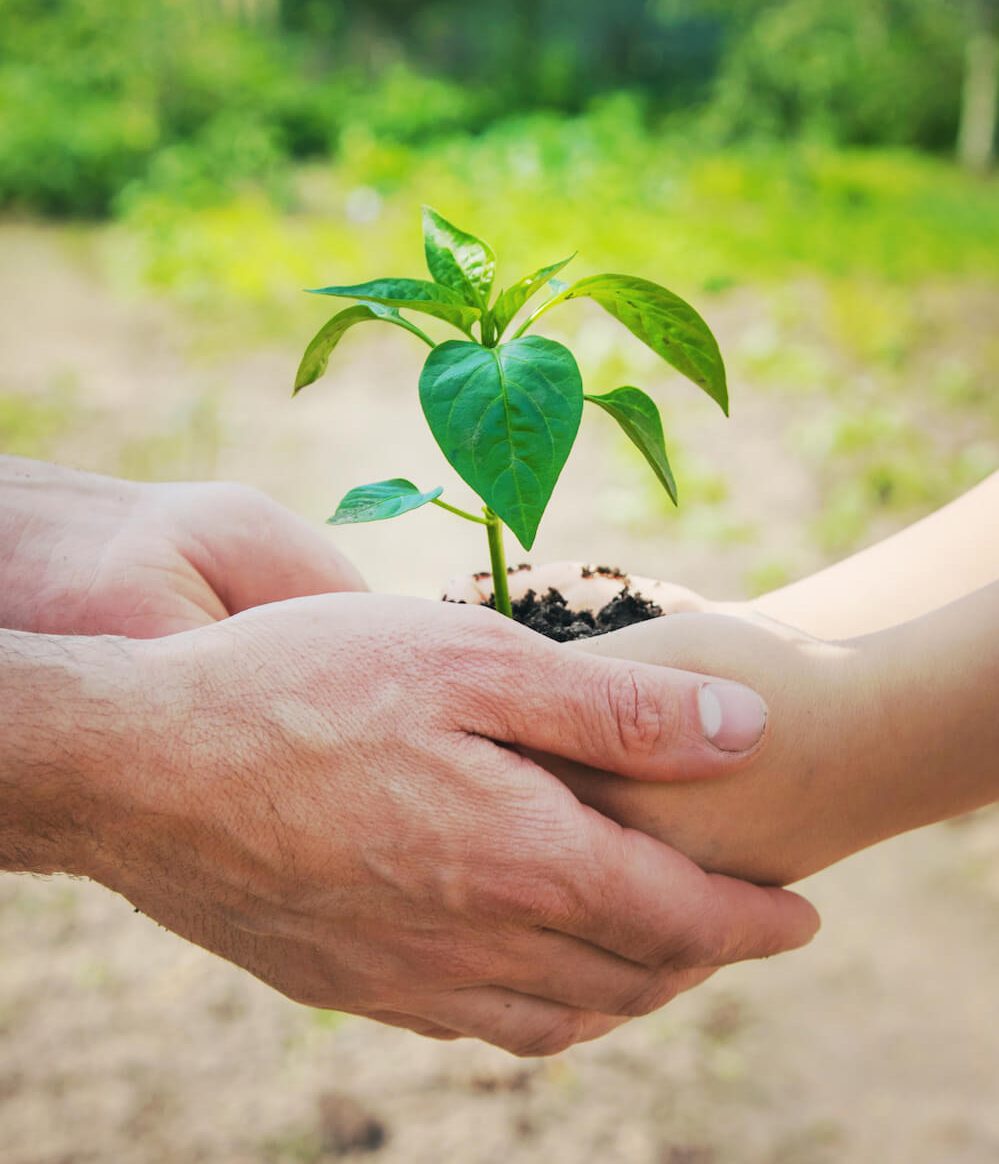 Eco-friendly rubbish removal 2